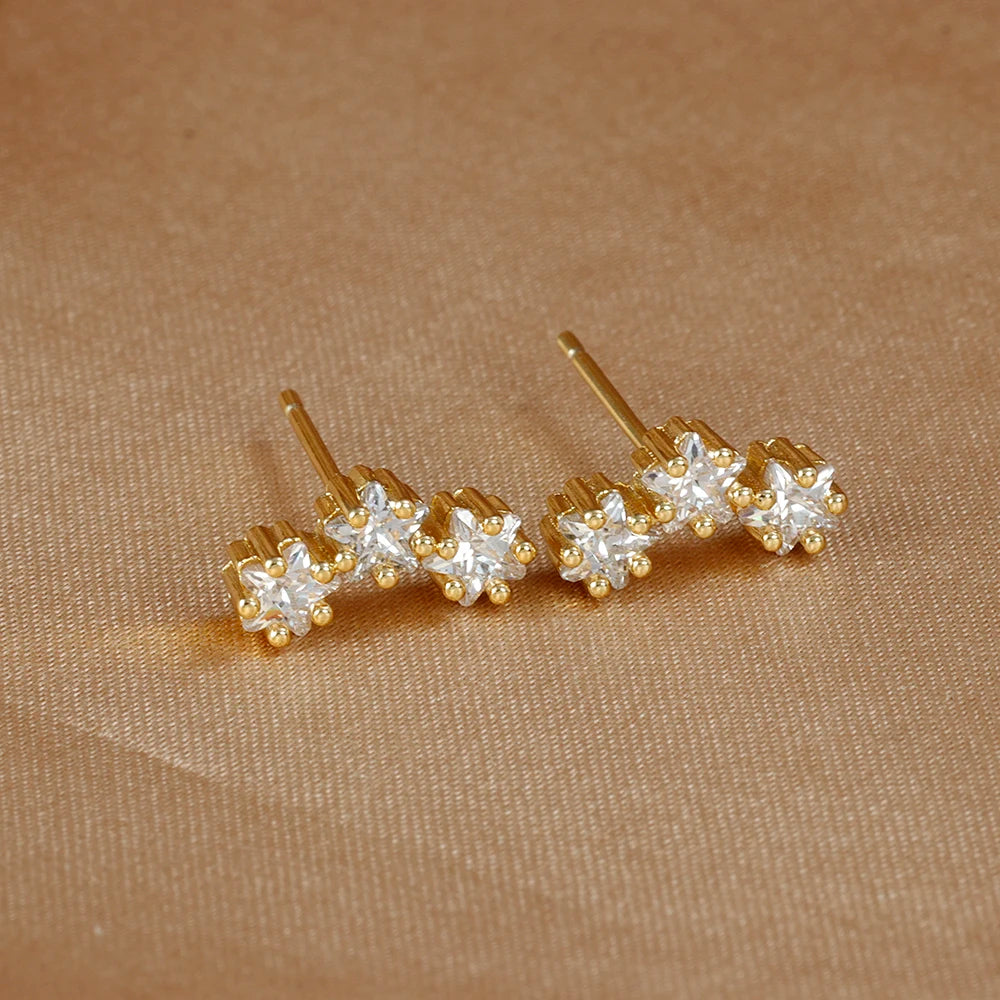 Boucle d'oreille acier inoxydable