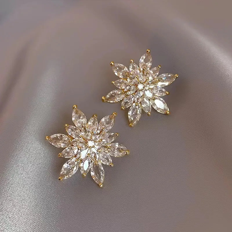 Boucle d'Oreille Longue