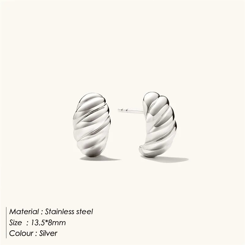 Boucle d'oreille acier inoxydable argent