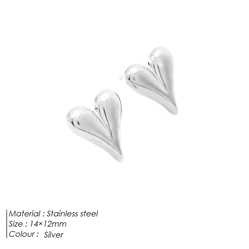 Boucle d'oreille acier inoxydable argent