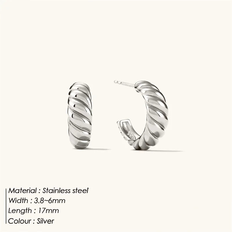 Boucle d'oreille acier inoxydable argent