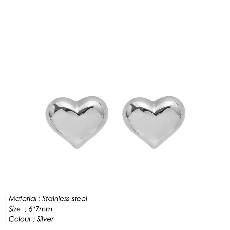 Boucle d'oreille acier inoxydable argent