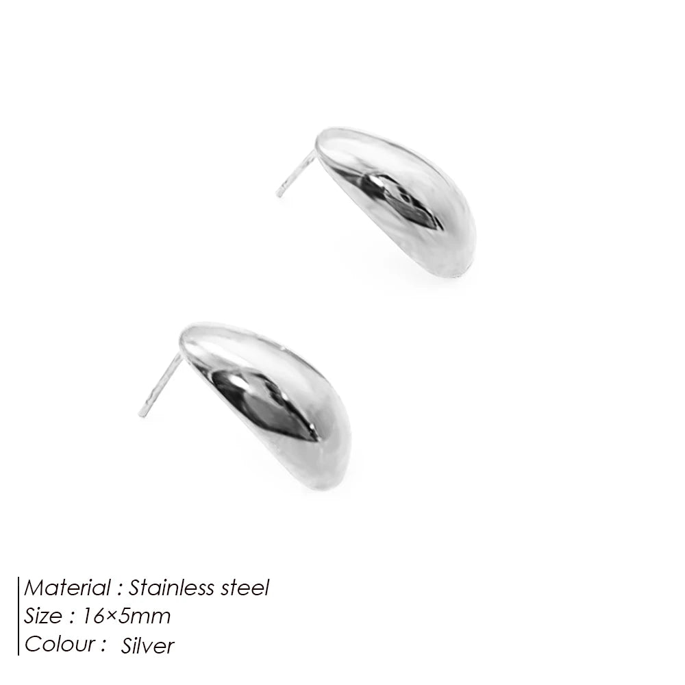 Boucle d'oreille acier inoxydable argent